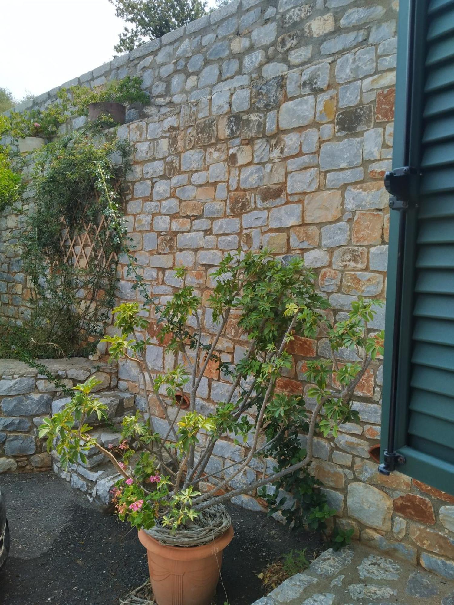 Aparthotel Vatoulia House à Néon Oítilon Extérieur photo